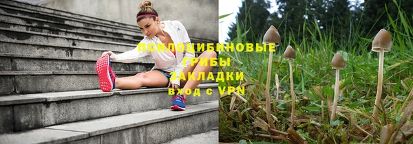 гашик Краснотурьинск