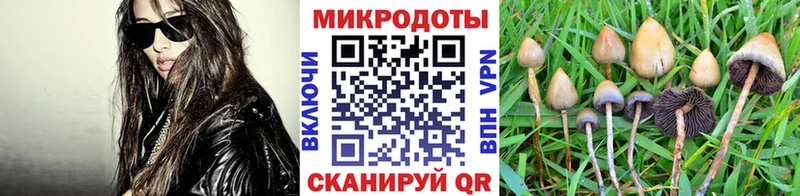 даркнет сайт  Углич  Псилоцибиновые грибы GOLDEN TEACHER 