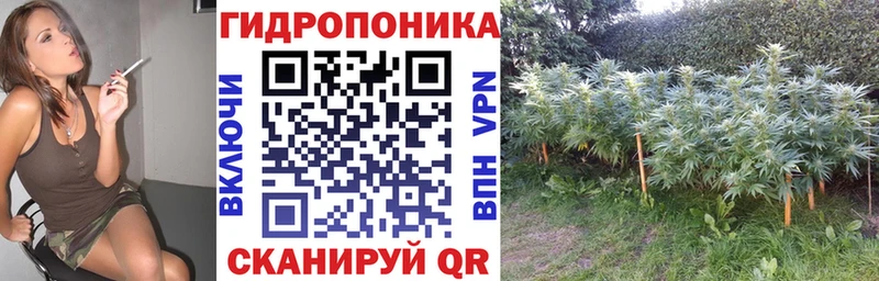Бошки марихуана марихуана Углич